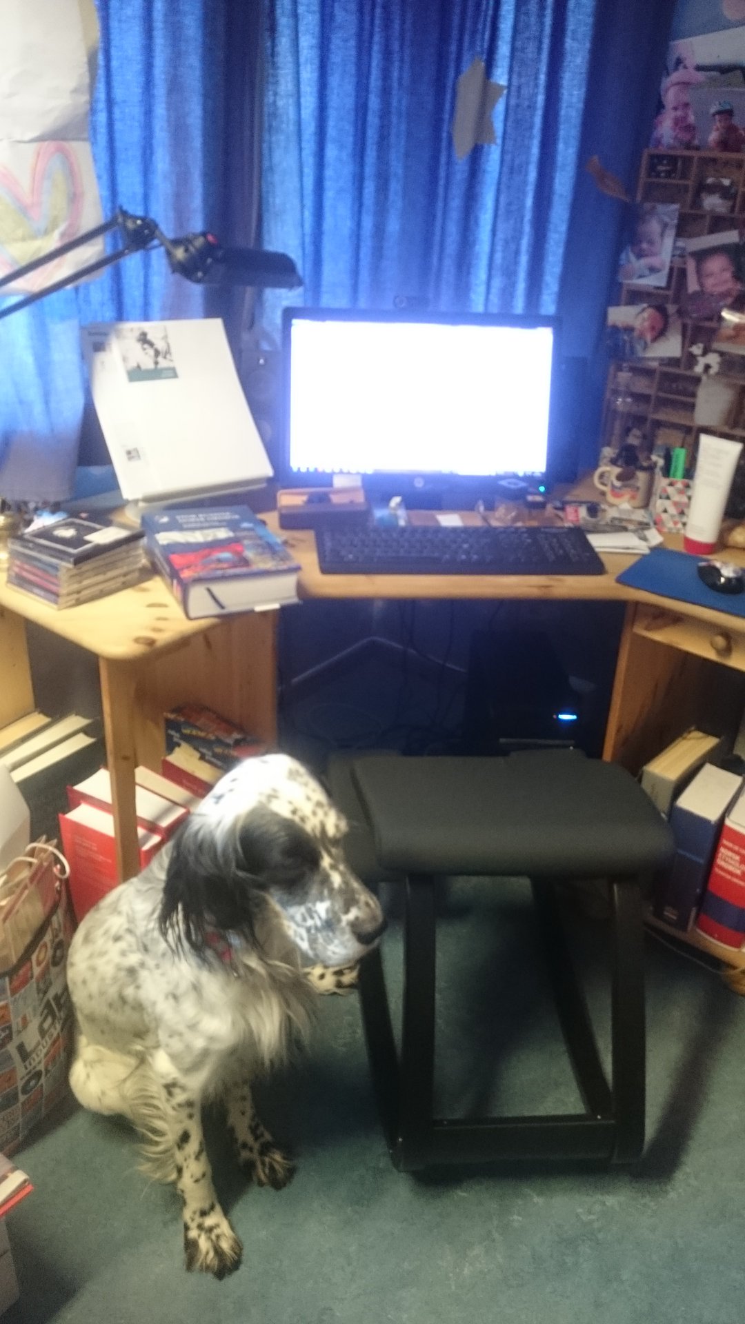 27503548_2163625603858377_1727205566386832497_o