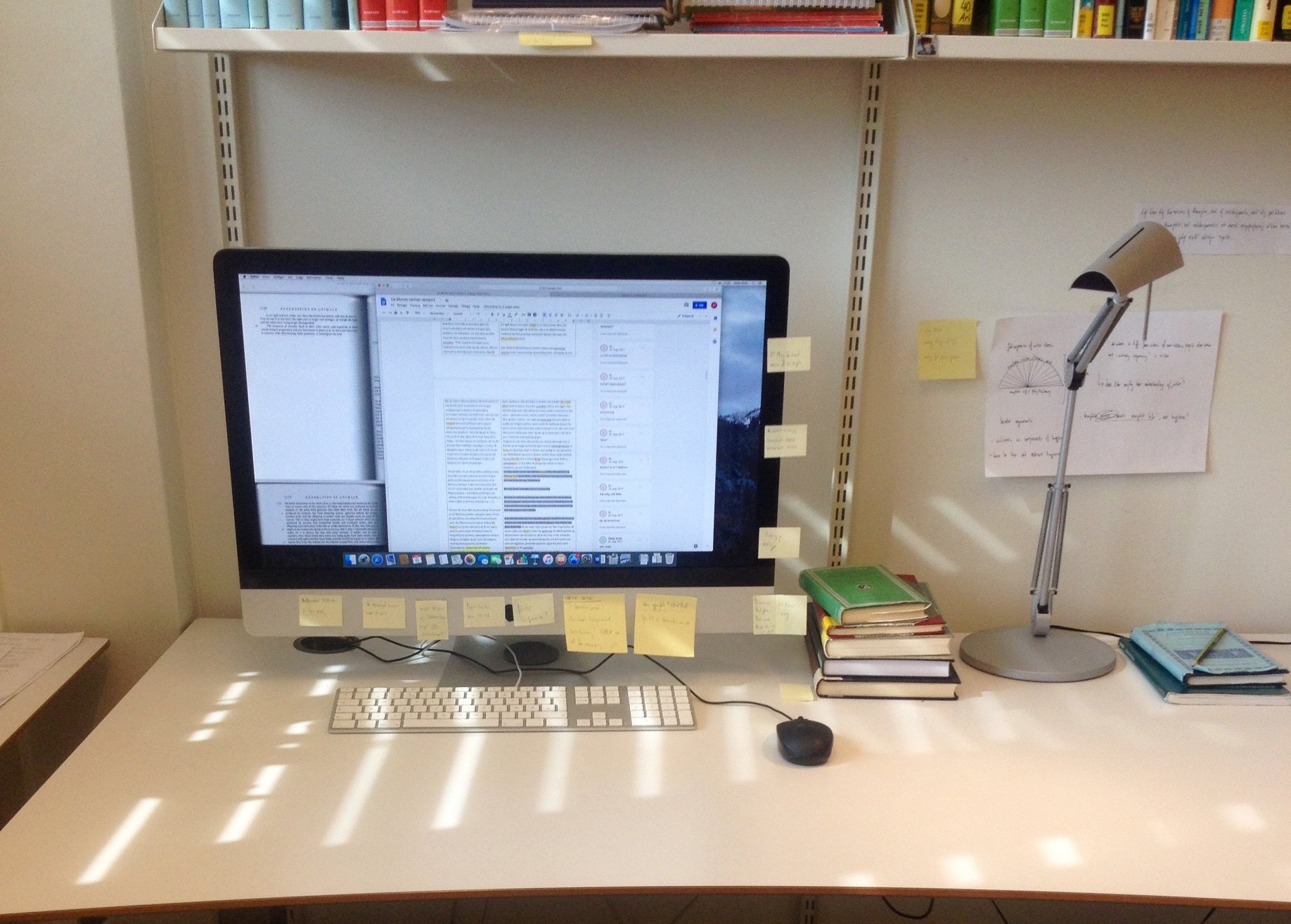 57024023_2454296891457912_6210399577598590976_o